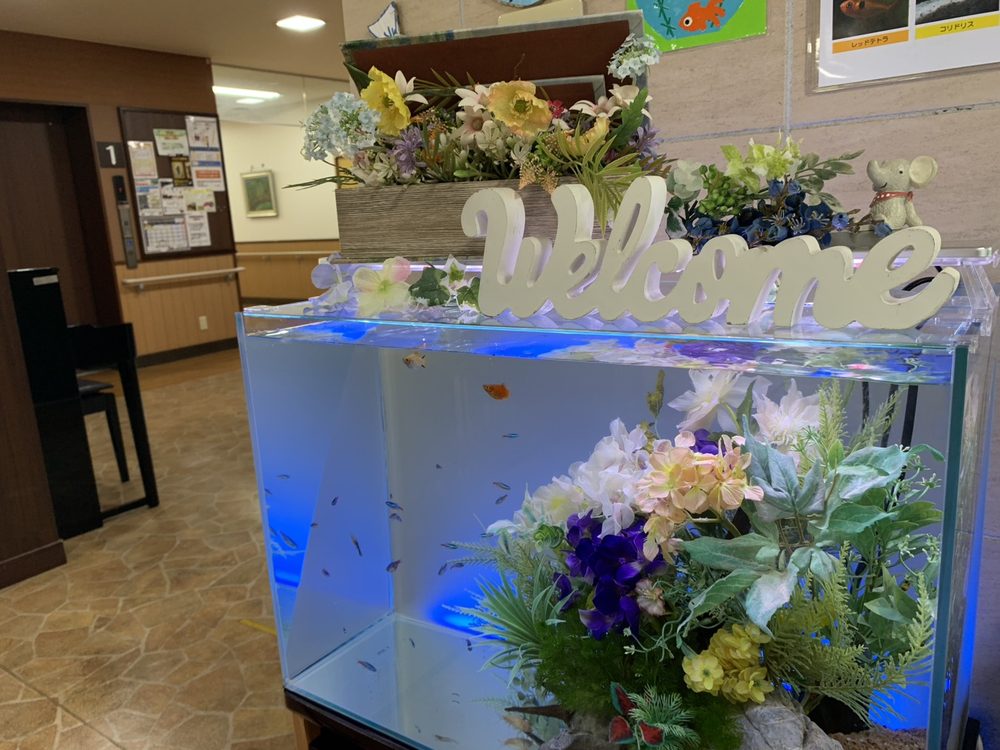 介護施設エントランスの60cm淡水水槽。Welcomeサインと春の花で装飾
