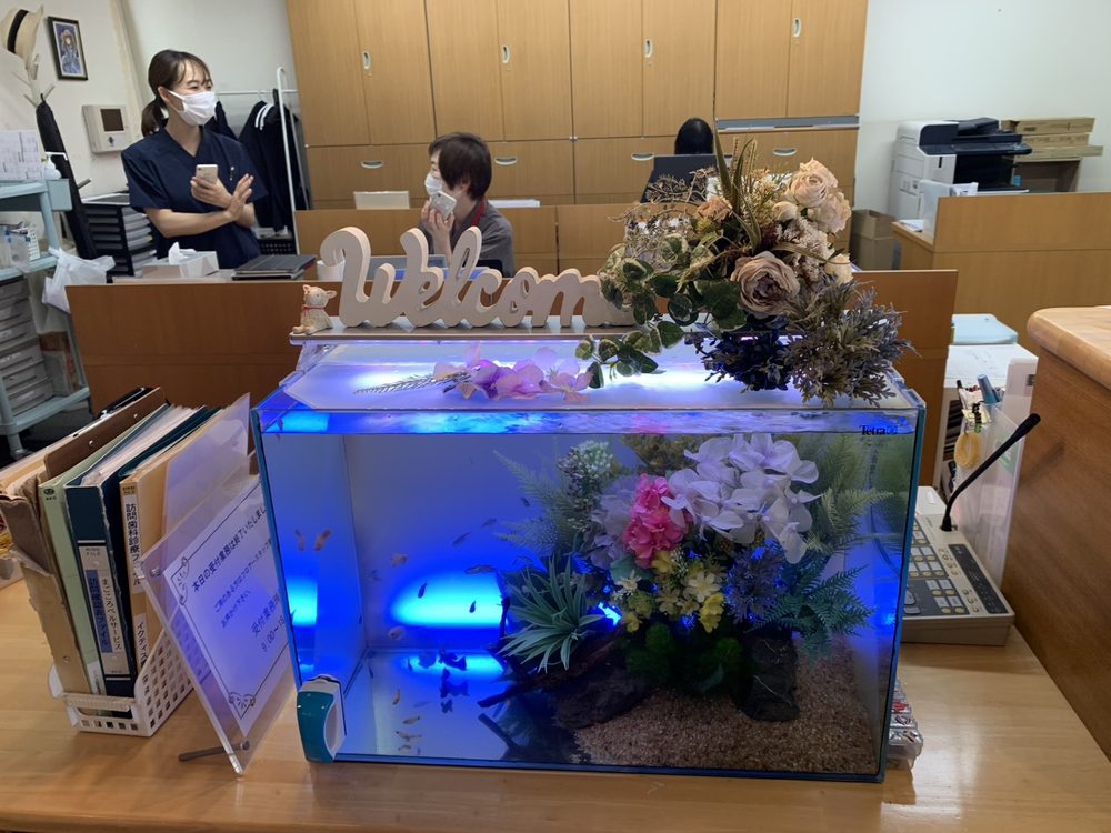 受付カウンターに設置された水槽。スタッフと入居者の会話が生まれる空間