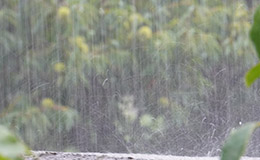 降りしきる大雨