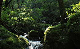 名水の定義とは