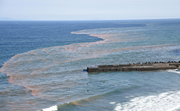 水質汚染された海