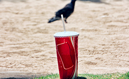 プラスチックごみ問題を象徴した画像