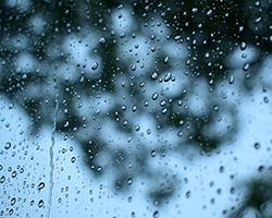 雨が降っている様子