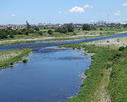 日本の水資源のほとんどは河川水